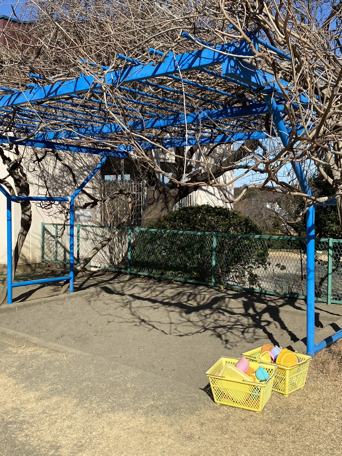 幼児教育と発達支援